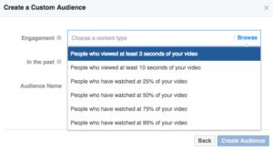 Facebook Video Audiences